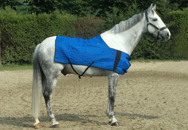 TechNiche Evaporative Cooling Horse Blanket, Blue, S/M, 8510-BL-S/M