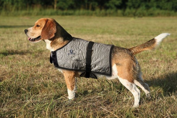 TechNiche Evaporative Cooling Dog Coat, Silver, XS, 8529-SV-XS
