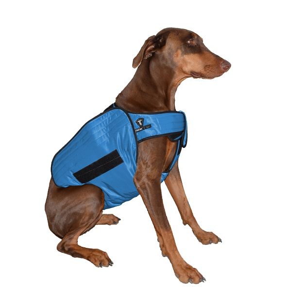 TechNiche Phase Change Cooling Dog Coat, Blue, L/XL, 8626-BL-L/XL