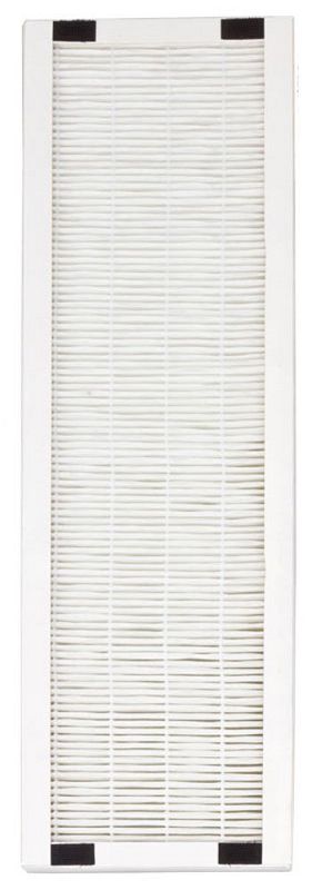 Buy Sunpentown Replacement HEPA Filter for AC-2062G (pack of 2), 2062-HEPA  cheaply
